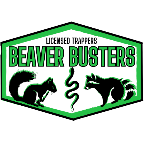 Green and black Licensed Trappers Beaver Busters logo with animals